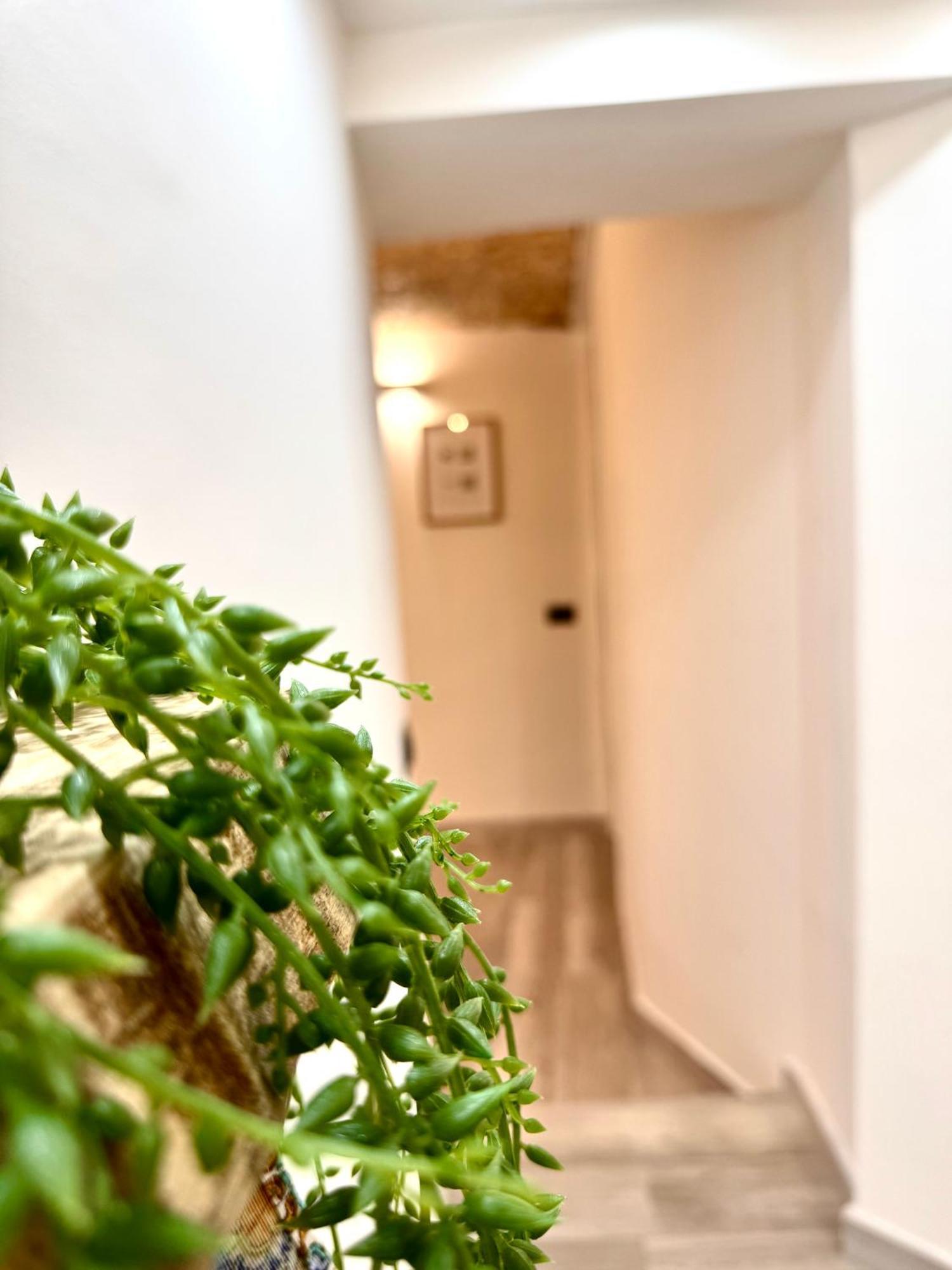 Luxury Stay Palermo Suite Con Spa Privata Vicino Stazione Exteriér fotografie